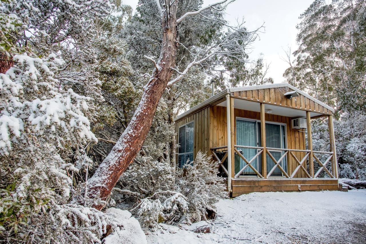 Discovery Parks - Cradle Mountain Exterior foto