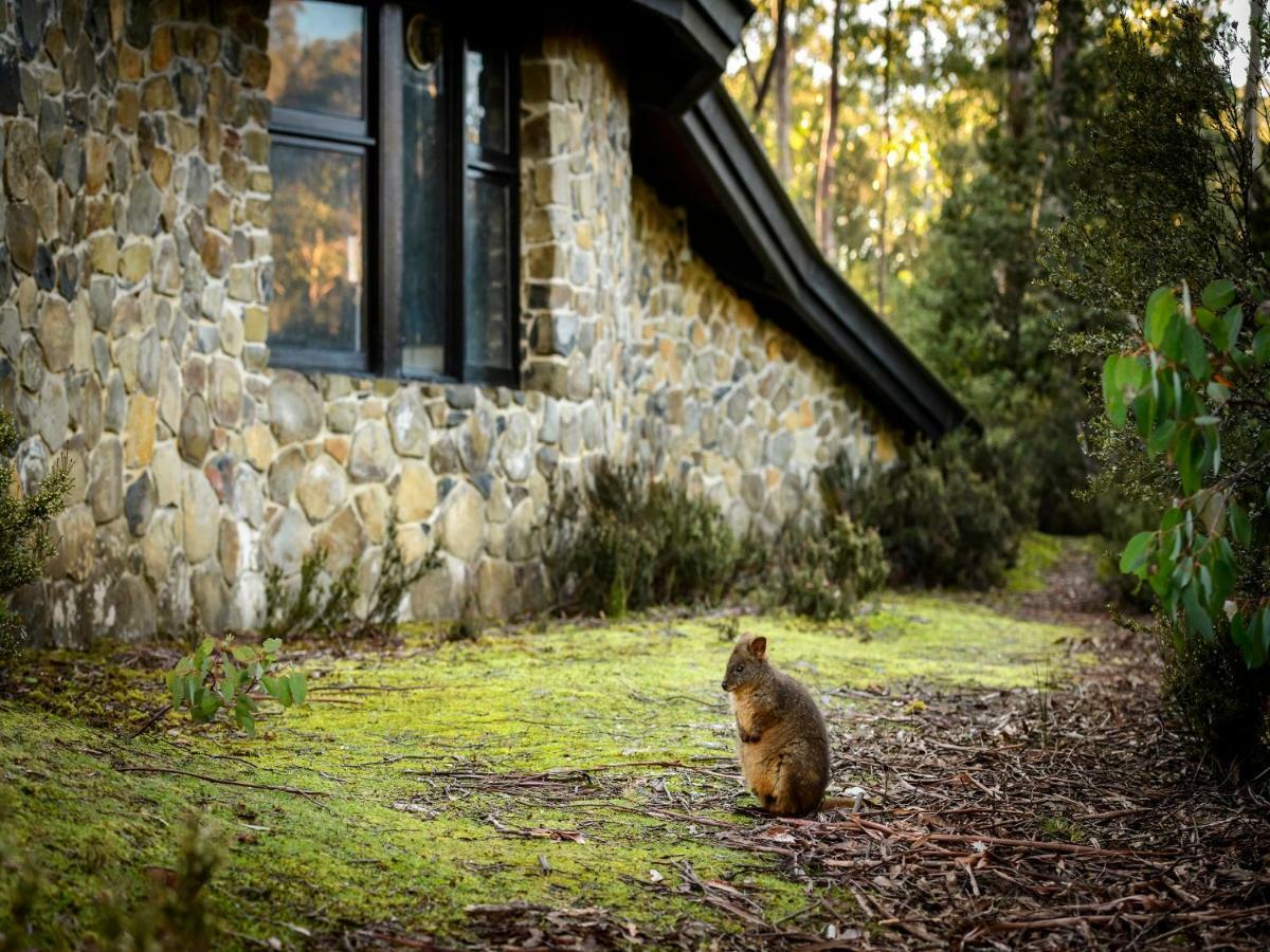 Discovery Parks - Cradle Mountain Exterior foto
